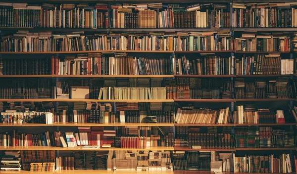 Open books arranged in a calm indoor setting with soft natural light
